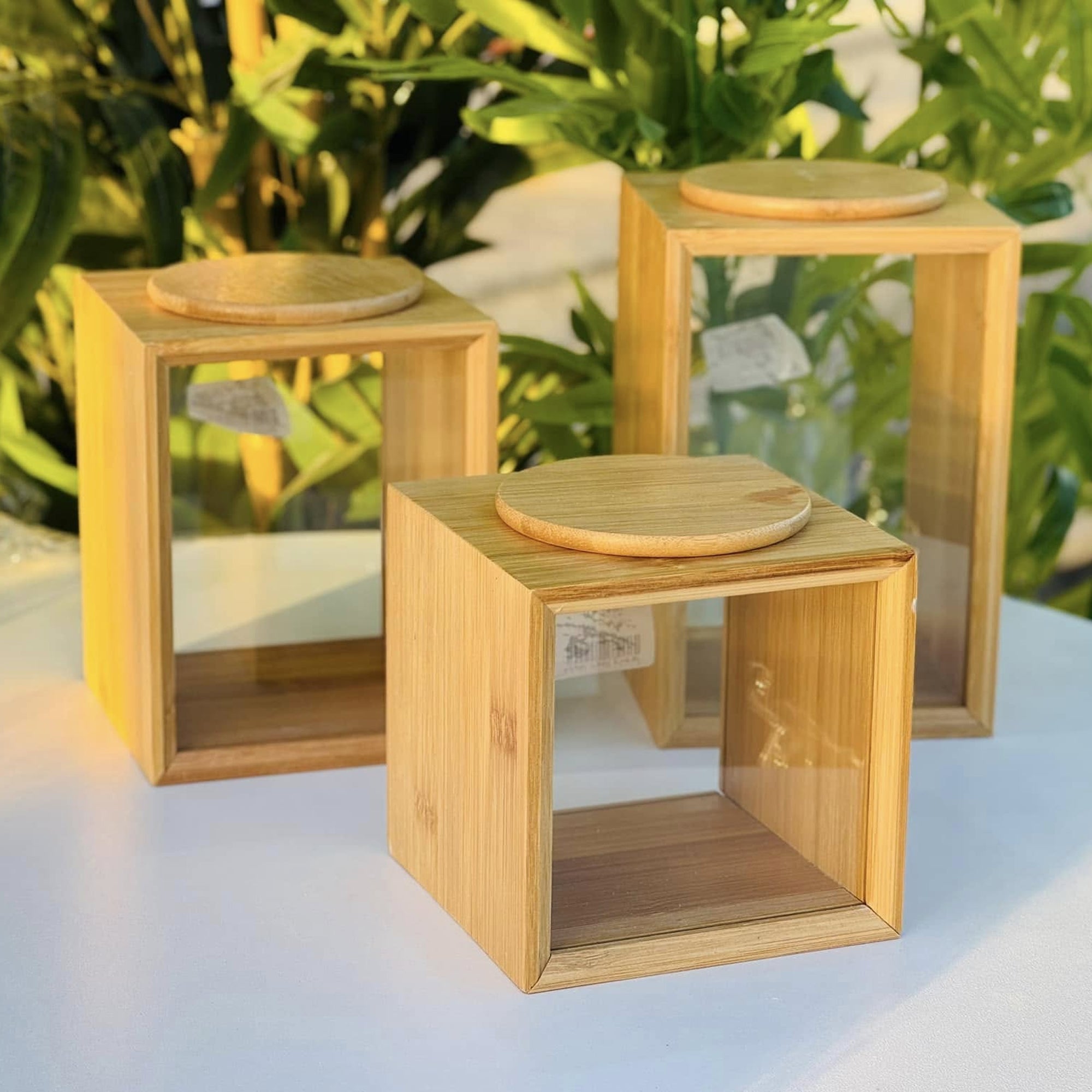 3 Piece Bamboo Canister Set Clear